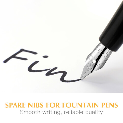 2 Pack Fountain Pen Replacement Nibs Flex Calligraphy Spare Student 2