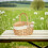 Picnic Fruit Basket Storage Wicker Basket With Lid 4