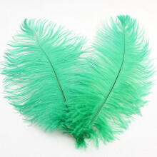 Colorful Ostrich Feathers 30-35cm – Decorative Plumes for Wedding, DIY, Stage & Party Decor