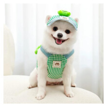 Soft Cartoon Pet Harness & Leash Set, Adjustable Chest Harness + UV Cap, 3-Pc, for Small Dogs/Cats (Green, L)