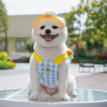 Dog Harness & Leash Set with Hat, No-Pull Soft Mesh Vest for Small Dogs & Cats, Adjustable Step-In Puppy Harness, Cute 3-Pc Sky Blue XL Set