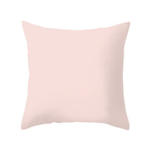 Housse de coussin d'extérieur imperméable 45 x 45 cm