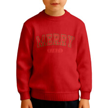 Boys Crewneck Printed Sweatshirt Soft Lined Thermal Pullover