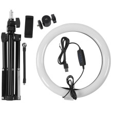 Professional Looking Results Ring Light USB Powered LED Fill Light with Adjustable Brightness Levels Compact Ring Shaped Design Shadowless Lighting
