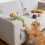 Peluche da mordere per cani e gatti 1