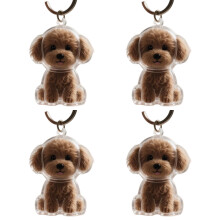 2/3/4/5/10 Stück Haustier-Erinnerungs-Schlüsselanhänger mit Haarsammelfach zur Aufbewahrung von Tierfellen – das perfekte Geschenk für Hunde-