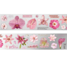 Adesivo artístico estético reutilizável em PET, fácil de destacar sem deixar resíduos, ideal para scrapbooking.
