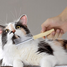 Stainless Steel & Wood Handle Pet Grooming Comb - High & Low Tooth Design for Cats and Dogs Glossy Hair Care