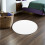 Acryl Lampenkap Diffuser Wit Voor Plafondlampen 5
