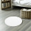 Acryl Lampenkap Diffuser Wit Voor Plafondlampen 6
