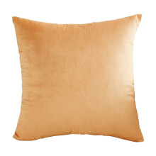 Velvet Pillow Cover Square 18x18 Inch with Hidden Zipper