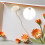 9Stk Ersatz Diffuser Sticks Aus Holz Mit Getrockneten Blumen Weiß 11