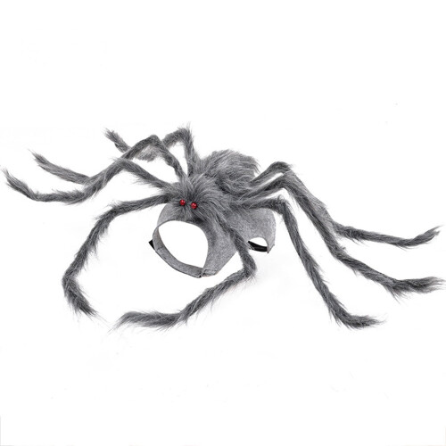 Halloween-Spinnenkostüm für Hunde