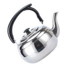 Tetera de acero inoxidable con diseño moderno y acabado atractivo para uso doméstico y de oficina.