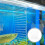 divisor acrílico transparente para aquário e placa isolamento tanque peixes 9