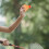 12 bolas de badminton em plástico resistente para uso interno e externo 4