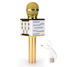 Bluetooth Karaoke Microphone for Children, All-in-One Wireless Microphone with FM Radio and Voice Disguiser for Endless Fun and Creative Expression