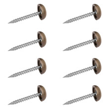 Practical Brass Glass Screw Fasteners With Decorative Domes Caps Rustproof Hardware for Home Furnishing Projects