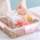 Divided Tray with Lid Plastic Large 10
