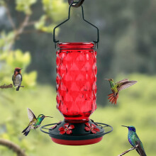 Glass Hummingbird Feeder with 5 Ports – Red/Purple/Blue, Easy Fill & Clean, for Garden, Yard & Christmas Décor