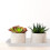 3Pcs Bandejas De Plástico Para Vaso De Flores Base Jardinagem Multiuso 5