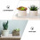 3Pcs Bandejas De Plástico Para Vaso De Flores Base Jardinagem Multiuso 7