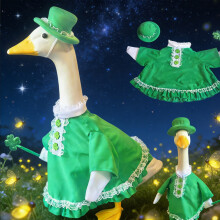 Décoration de porche pour la Saint-Patrick : une oie en tenue de fête irlandaise