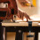 2 grampos em forma de C para fixação e retenção de mesa 4
