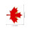12 St Canada Day Maple Leaf Spänne I Metall Email För Kläder Väskor Hattar 3