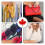 12 St Canada Day Maple Leaf Spänne I Metall Email För Kläder Väskor Hattar 8
