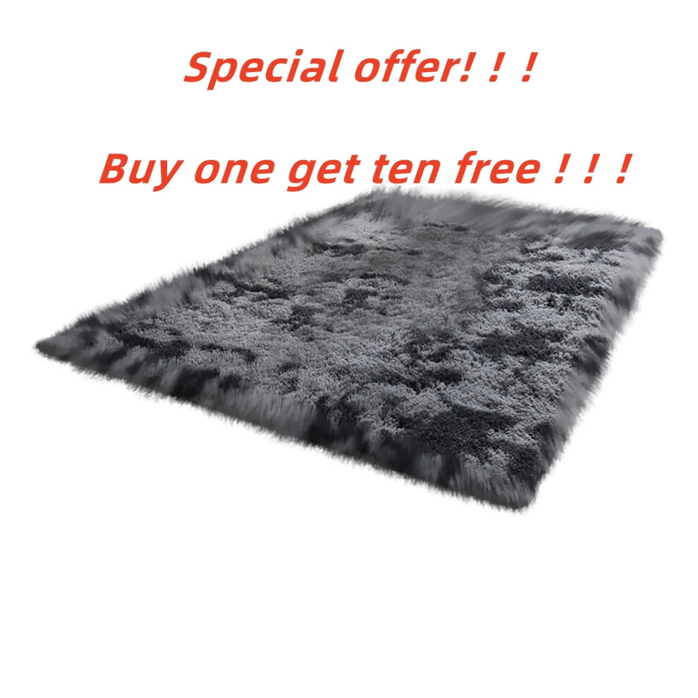 Indoor Area Rug Shaggy 10x12 ft
