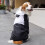 Dog Raincoat with Hood Waterproof Reflective Quick-Drying 1