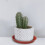 10Pcs Plastplantkruksunderlägg Träfläck Design 8