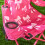 Kids Pink Bow Folding Camping Chair 3