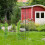 Elegant pavilion i grön finish, metall 5