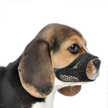 (Black, S) Museruola in rete per muso corto e cani di piccola e media taglia, anti-morso, ideale per cani brachicefali come Chihuahua e Pomerania.