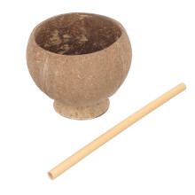 1Set Natuurlijke Kokosschaal Cup Met Rietje Voor Dessert En Drankjes