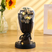 Preserved Rose in Glass Dome with LED Light – Forever Flowers Bouquet Gift for Her, Compatible with Christmas, Birthday, Anniversary, Valentine's,