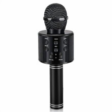 Kids Karaoke Microphone Toy for Ages 3-12 – Birthday Gift for Girls & Boys, Compatible with AA Batteries – Black