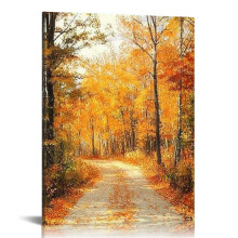 Fall Foliage Autumn Road in New Leaves Colorful Trees Photo Cool Wall Art 16x20 in