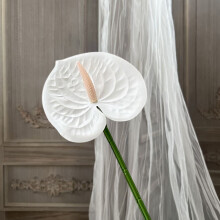 Anthurium rouge artificiel - Imitation palmier grue de feu, parfait pour la décoration de salles de mariage et d'intérieur, fleurs et feuillages