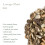 Lovage Root Dried - Lovage Roots - Levisticum Officinale 100g 5