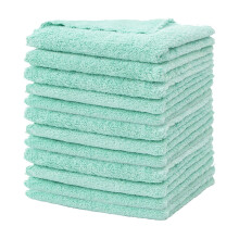 Qocolhg 12Pcs Hangable Kitchen Dish Rags – Absorbent Coral Velvet, Reusable Microfiber Cleaning Towels, Mint Green (Compatible with standard hooks)