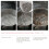 Wu Fu Yuan Black Tapioca Pearl, 250 g (Packaging May Vary) 5