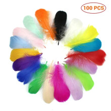 100Pcs Colorful Feathers for DIY Craft Wedding Home Decorations, Assorted Colors Feathers for Crafts and Party Decor
