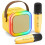 Mini Karaoke Machine Portable Bluetooth Speaker with 2 1