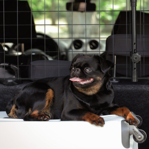 Barrera para perros ajustable para coche 1