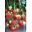 Thursday Cottage Organic Strawberry Jam 340g 3