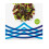 Clearspring Organic Atlantic Dulse 3