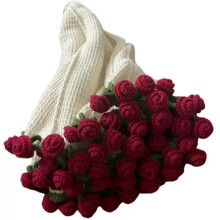 Beausougon Rose Crochet Blanket Kit - Thick Cozy Throw for Home/Pets, Beginner-Friendly DIY Craft with Video Tutorials (Stress Relief Gift)